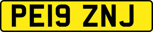 PE19ZNJ