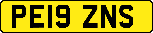 PE19ZNS
