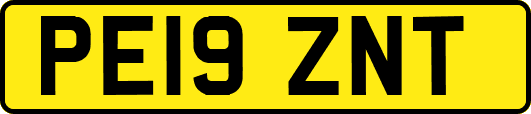 PE19ZNT