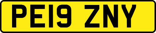 PE19ZNY