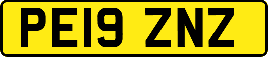 PE19ZNZ