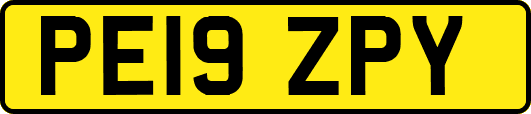 PE19ZPY