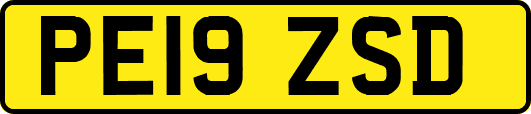 PE19ZSD