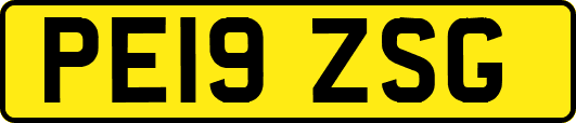 PE19ZSG