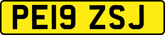 PE19ZSJ
