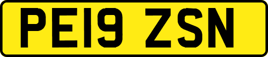 PE19ZSN
