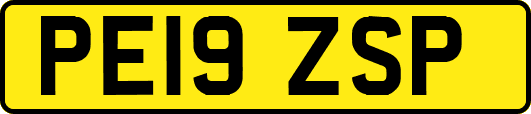 PE19ZSP