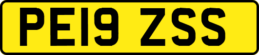 PE19ZSS