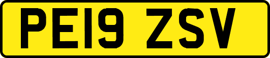 PE19ZSV