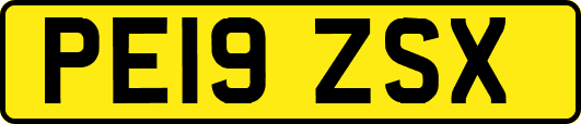 PE19ZSX