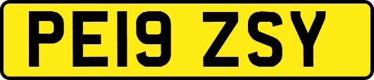 PE19ZSY
