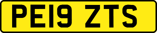 PE19ZTS