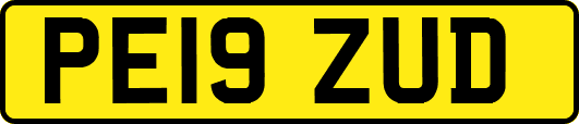 PE19ZUD