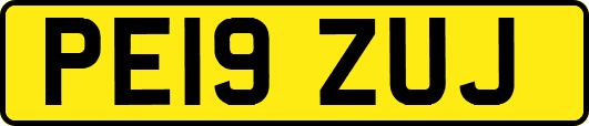 PE19ZUJ