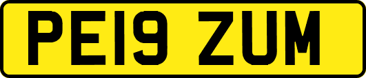 PE19ZUM