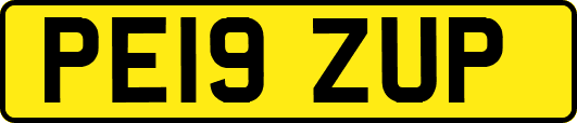 PE19ZUP