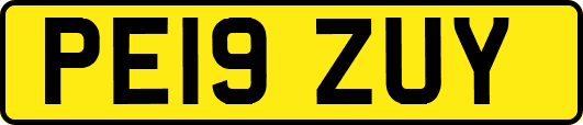 PE19ZUY