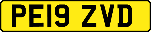 PE19ZVD
