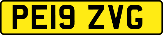 PE19ZVG