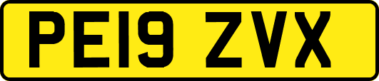 PE19ZVX