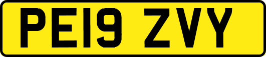 PE19ZVY