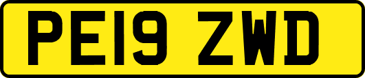 PE19ZWD