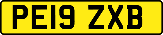 PE19ZXB