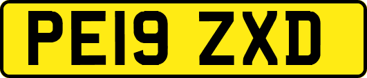 PE19ZXD
