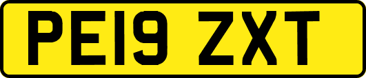 PE19ZXT