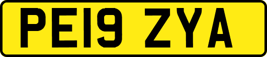 PE19ZYA