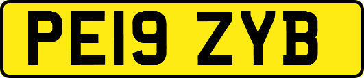PE19ZYB