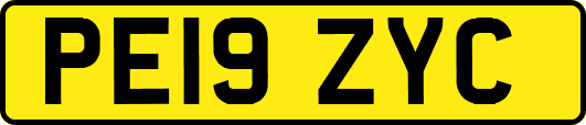 PE19ZYC
