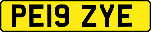 PE19ZYE