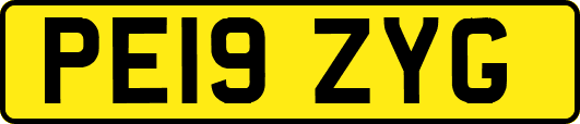 PE19ZYG