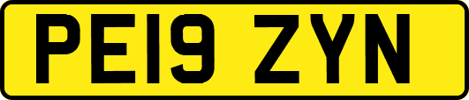 PE19ZYN