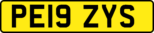 PE19ZYS