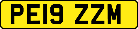 PE19ZZM