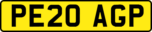 PE20AGP