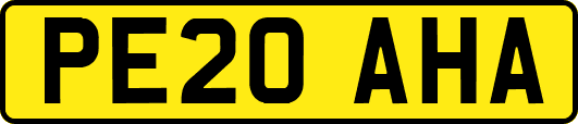 PE20AHA