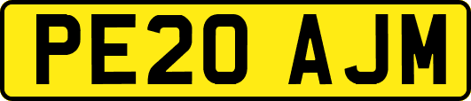 PE20AJM