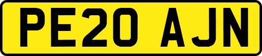 PE20AJN
