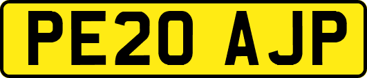 PE20AJP