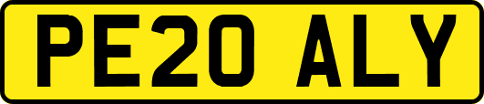PE20ALY