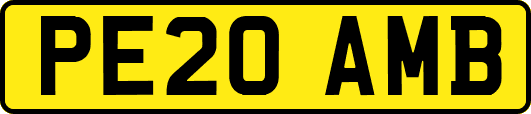 PE20AMB