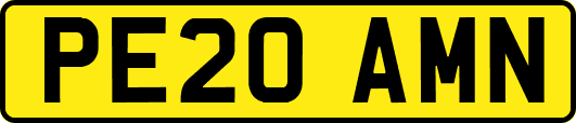 PE20AMN