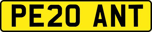 PE20ANT