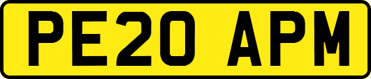 PE20APM