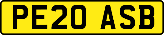 PE20ASB