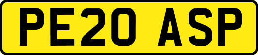 PE20ASP