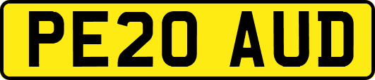 PE20AUD